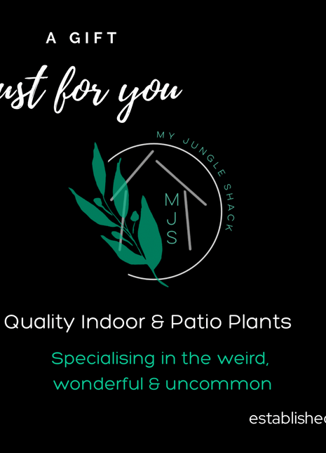 My Jungle Shack eGift Card