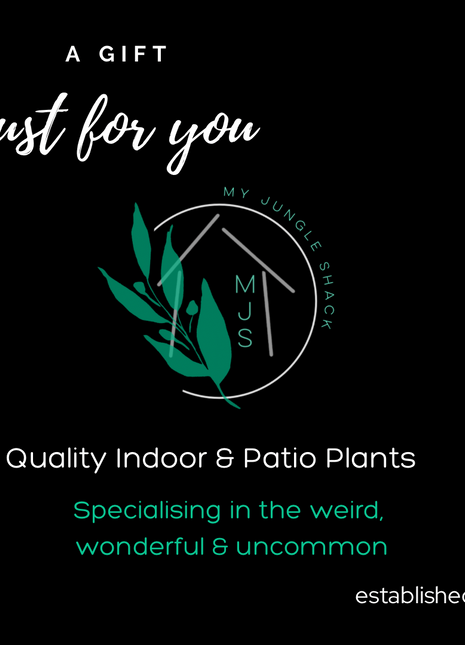 My Jungle Shack eGift Card