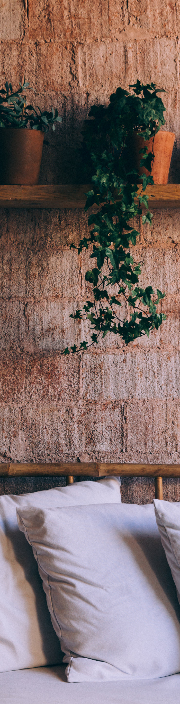 <h1>Welcome to My Jungle Shack</h1>