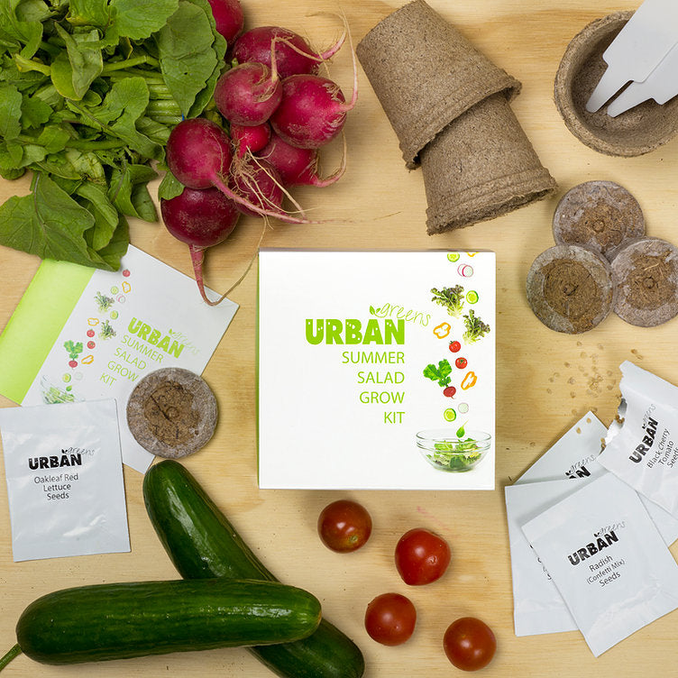 Urban Greens - Summer Salad Grow Kit