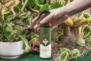 We The Wild - 'Protect Spray' with Neem