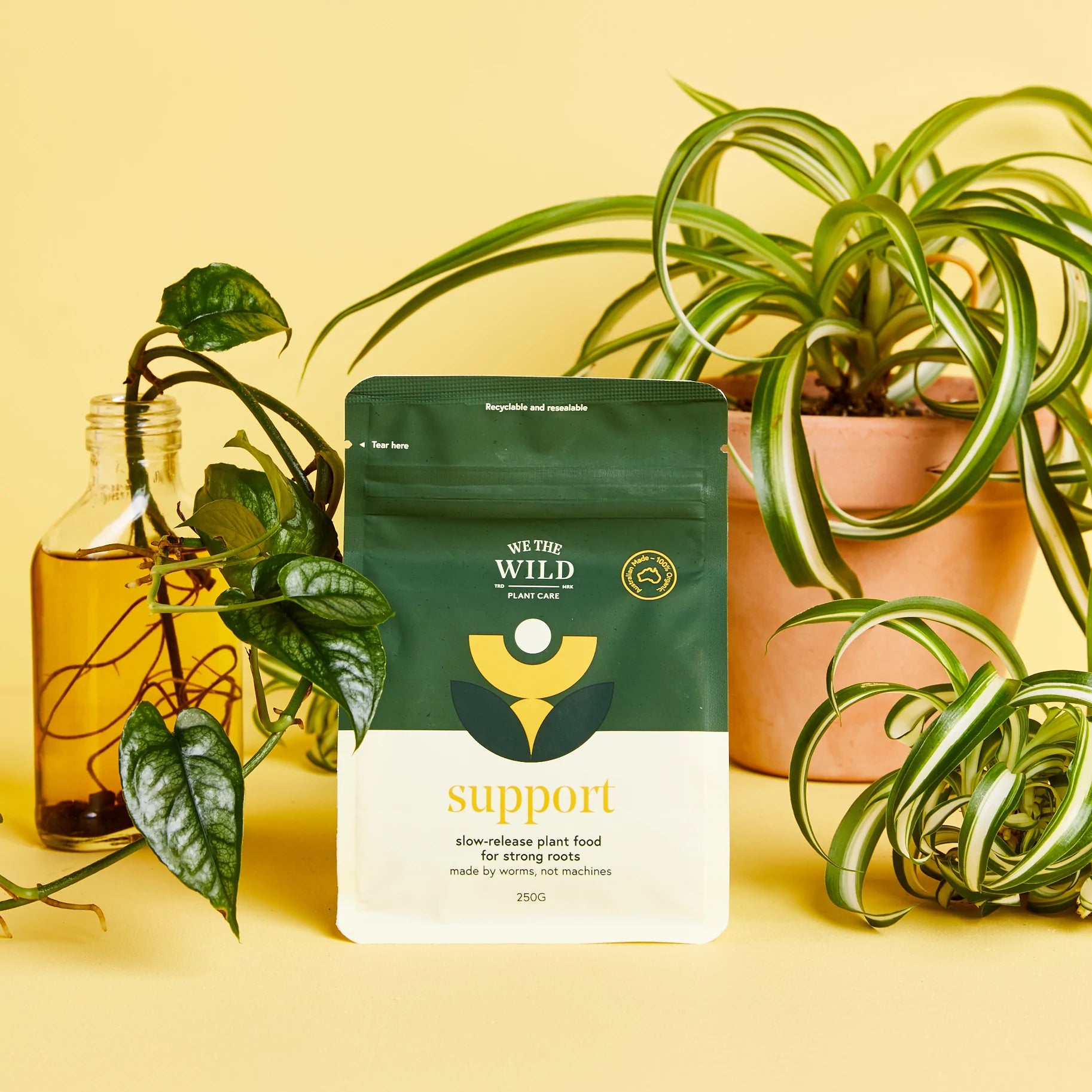 We The Wild - Support 'Slow Release Plant Food'