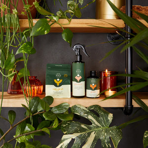 We The Wild - 'Essential Plant Health Kit'