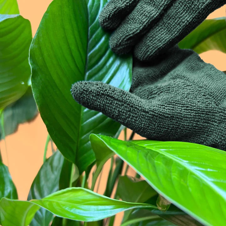 We The Wild - Leaf Cleaning Gloves