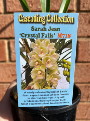 Cascading Collection - Sarah Jean ‘Crystal Falls'